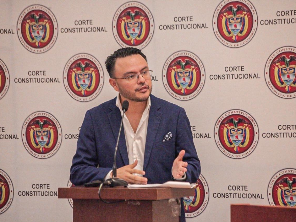 Director Harman expone ante la Corte Constitucional urgencia de poner en marcha la Jurisdicción Agraria