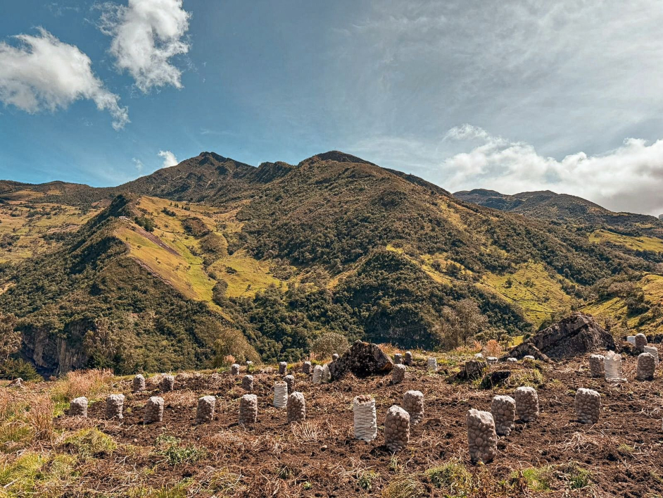 En el marco de la Reforma Agraria, la ANT titula 3.042 hectáreas a 256 mujeres rurales en Santander