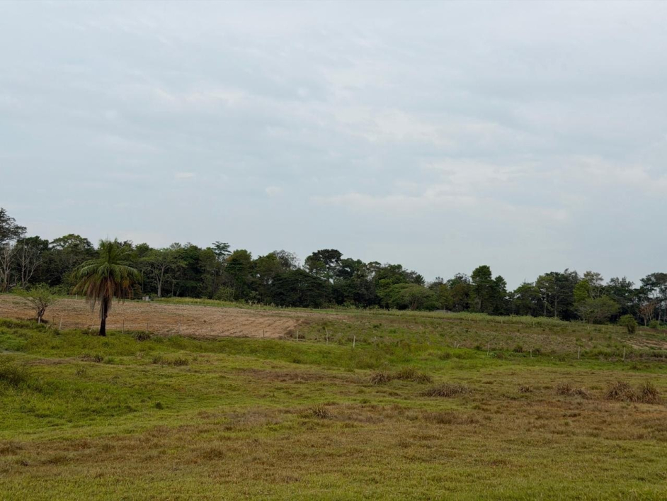 Foto de sábana verde
