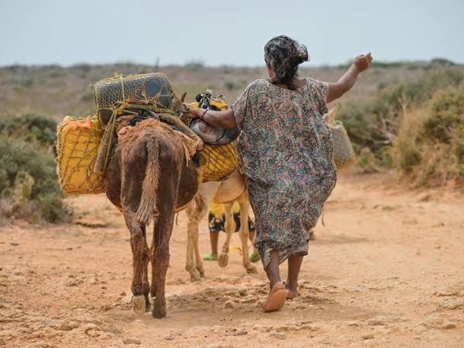 ANT delimita Territorio Indígena de la Zona Norte Extrema de la Alta Guajira – WUINPUMÜIN